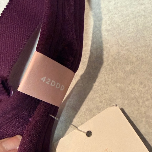 NWT Cacique Lace Bra in Rich Burgundy and Pink 42DDD - Picture 5 of 7